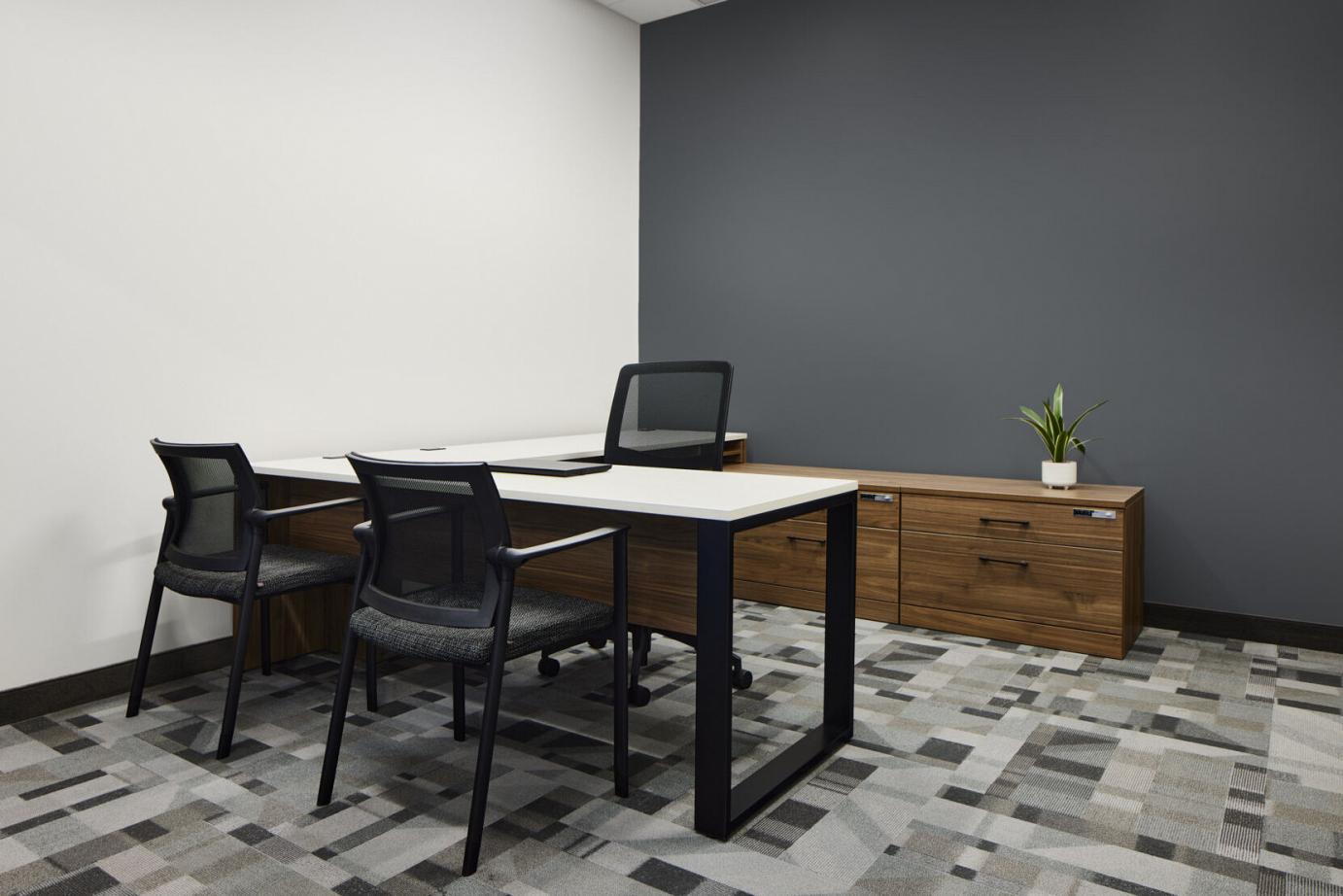Executive Office Furniture 12